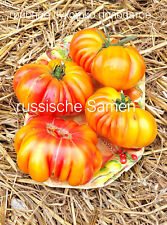 Sibirische tomaten pilzkorb gebraucht kaufen  Rostock