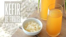 Kefir fruit bio d'occasion  Marseille XIII