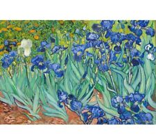 Irises garden vincent for sale  Mesa