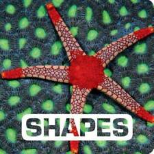Shapes board book for sale  Montgomery
