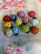 Multi coloured ladybird for sale  DOVER