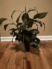 Artificial plant tall for sale  Newnan