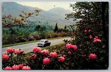 Rhododendron spring oregon for sale  Sparta