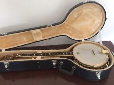 Banjo corde bluegrass usato  Palermo