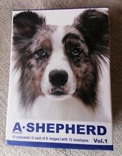 Australian shepherd notecards for sale  UK