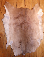 Deer hide rug for sale  CHIPPENHAM