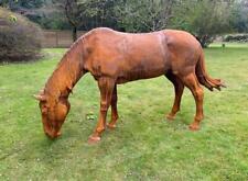 Lifesize horse garden for sale  UK