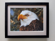 Threatened symbol eagle for sale  YORK