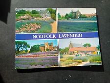 Vintage postcard norfolk for sale  DORCHESTER