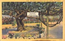 Vtg postcard famous for sale  Cookeville