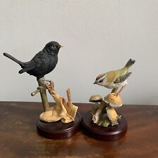 Country artists blackbird for sale  MANCHESTER