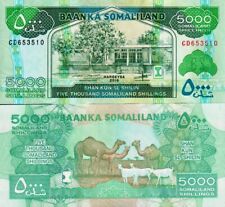Somaliland 5000 shiling usato  Anzio
