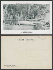 Cartão postal antigo da Nova Caledônia peixe-boi vaca marinha meninos nativos após pesca, canoa barco comprar usado  Enviando para Brazil