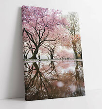 Cherry blossom canvas for sale  LONDONDERRY