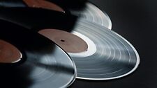 Gutschein vinyl reinigung gebraucht kaufen  Langwedel