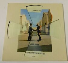 pink floyd picture disc usato  Italia