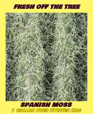 Organic spanish moss for sale  Vero Beach