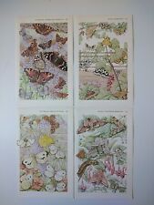 Vintage botanical prints for sale  BIRKENHEAD