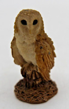 Small barn owl for sale  BATH