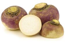 Graines rutabaga culture d'occasion  Clermont-Ferrand-