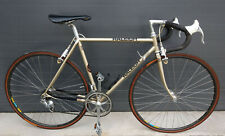 Raleigh team sbdu for sale  Shipping to Ireland