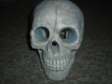Realistic human skull for sale  Milwaukee