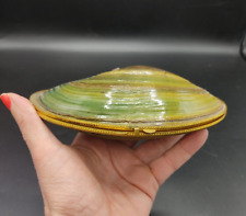 Large shell set d'occasion  Expédié en Belgium