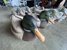 Lot mallard drake for sale  Sacramento