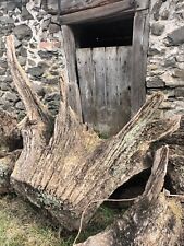 Tree root stump for sale  LLANFYLLIN