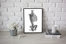 Human skeleton art for sale  LONDON