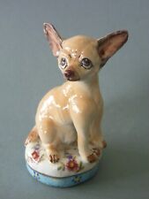 Basil matthews chihuahua for sale  KIRKBY-IN-FURNESS