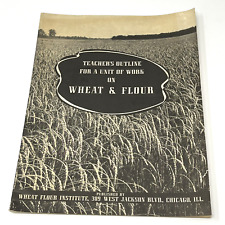 Usado, Esquema de maestros de los años 30 para una unidad de trabajo sobre el instituto de trigo y harina libro vintage segunda mano  Embacar hacia Argentina