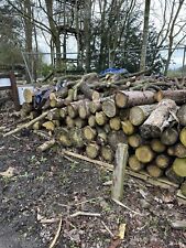 Logs sale large for sale  DUNSTABLE