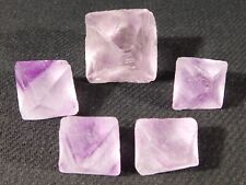 Lot five purple for sale  Salt Lake City