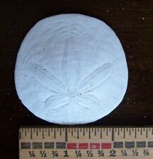 Pacific sand dollars for sale  Cottonwood