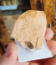 Orthose quartz sils d'occasion  Cournon-d'Auvergne