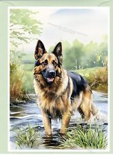 German shepherd dog for sale  YEOVIL