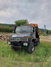 Unimog u1000 424b gebraucht kaufen  Odenbach