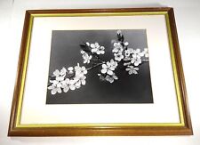 Matted floral photo for sale  Towanda