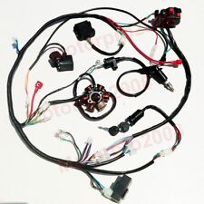Buggy wiring harness for sale  Walton