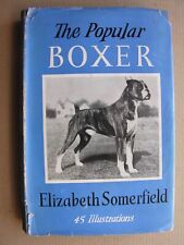 1955 popular boxer for sale  HYTHE