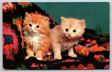 Animal tabby kittens for sale  Newton