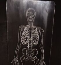 Outsider art skeleton for sale  Lynchburg