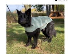 Dog coat aran for sale  LONDON