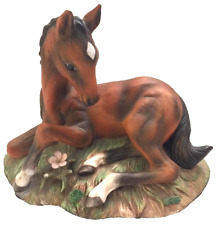 Homco horse foal for sale  Boiling Springs