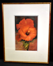 Tableau pastel fleur d'occasion  Toulouse-