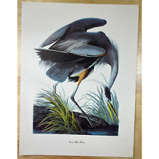 Audubon birds america for sale  Cle Elum