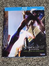 Evangelion 1.11 You Are Not Alone edição especial anime Blu-ray com capa usada comprar usado  Enviando para Brazil