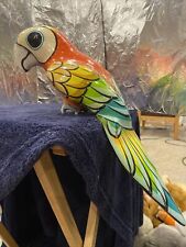 Scarlet macaw bird for sale  Chesterfield