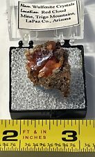 Large wulfenite crystal for sale  Sherman